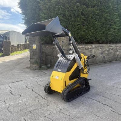 Delano T360 Skid Steer